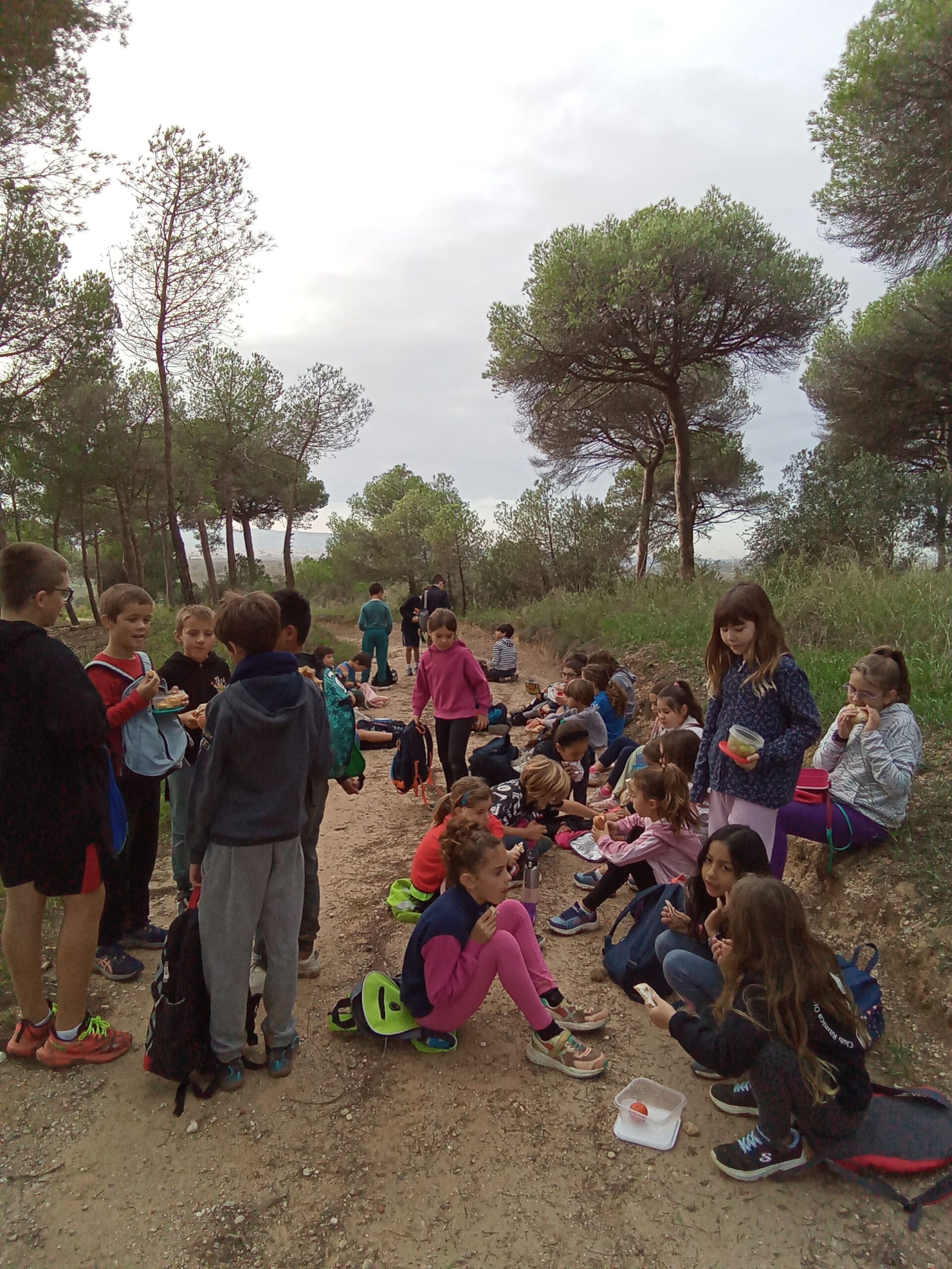 Sortida als pujols (22)