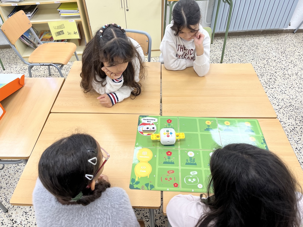 IMG_8827 a mida gran