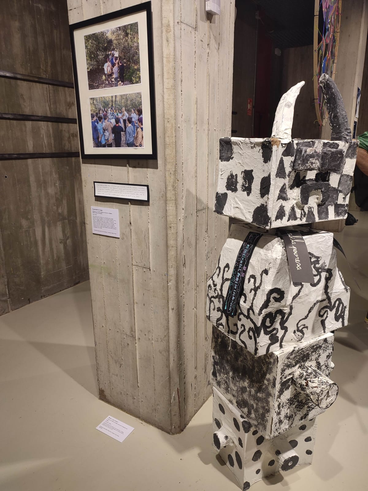 WhatsApp Image 2025-05-22 at 16.56.57