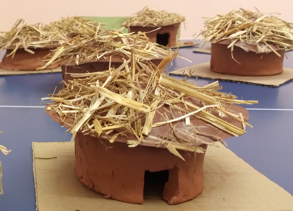 Suyana G Mitjans (3)