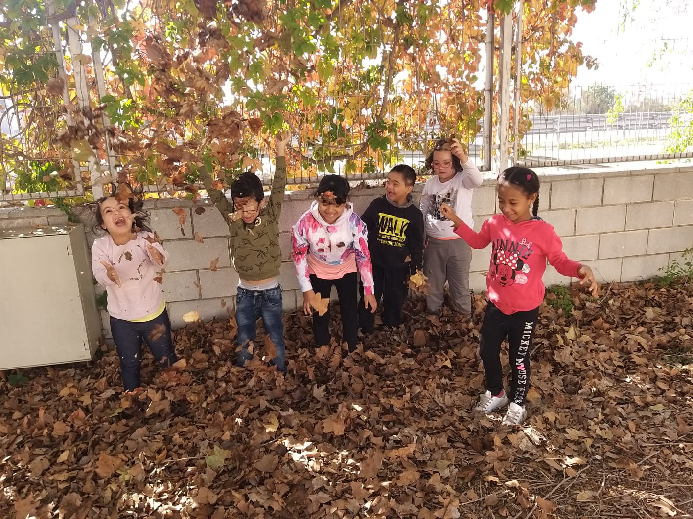 WhatsApp Image 2019-10-29 at 12.53.10 (4)