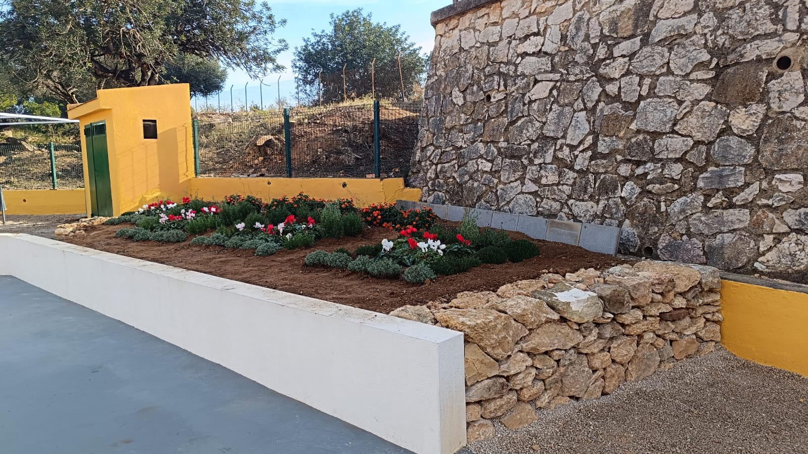 WhatsApp Image 2024-12-17 at 11.45.44 (3)