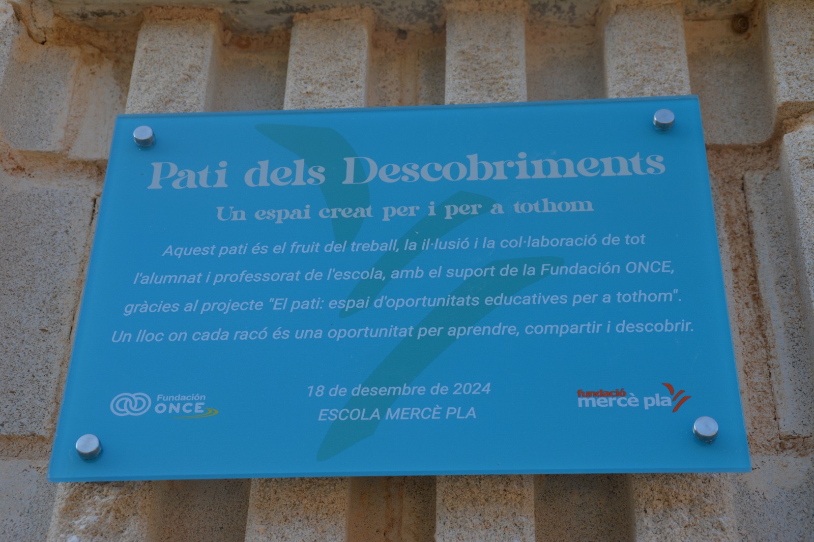 WhatsApp Image 2024-12-19 at 11.05.14