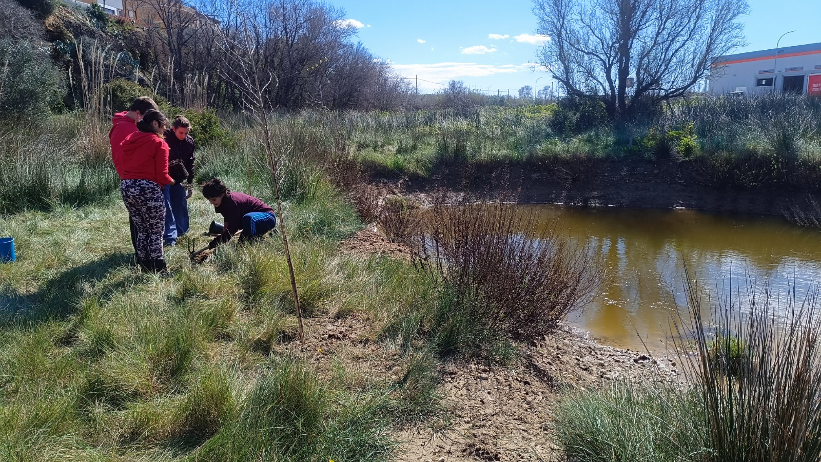 WhatsApp Image 2025-03-13 at 13.41.14 (1)