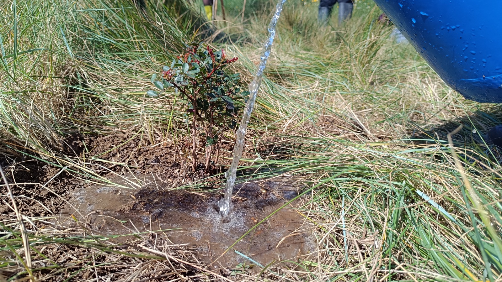 WhatsApp Image 2025-03-13 at 13.41.14 (3)