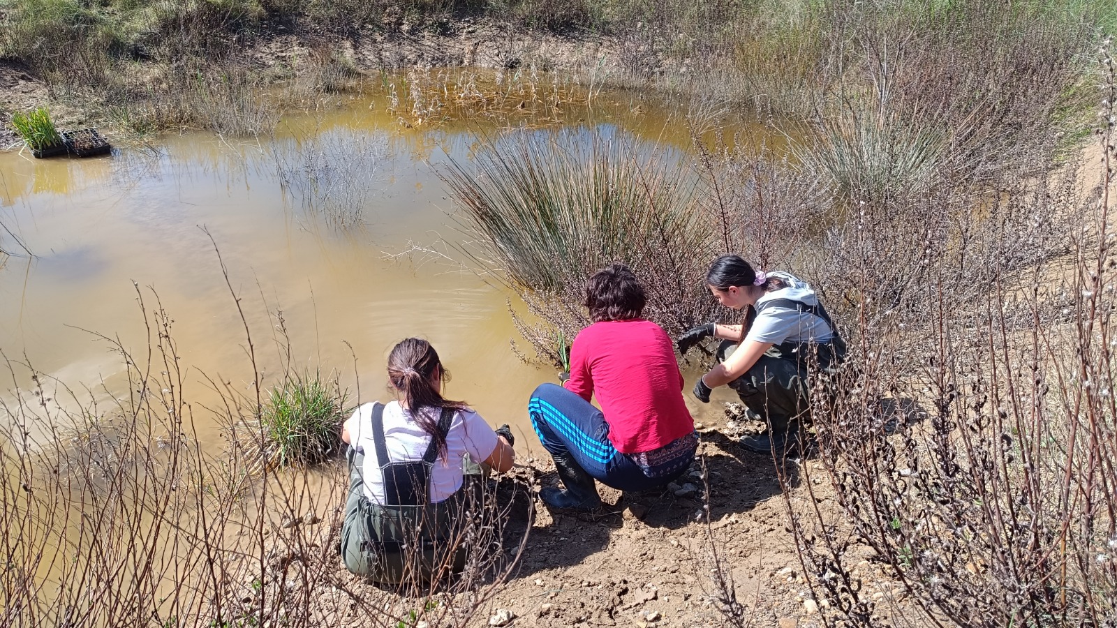 WhatsApp Image 2025-03-13 at 13.41.14 (4)