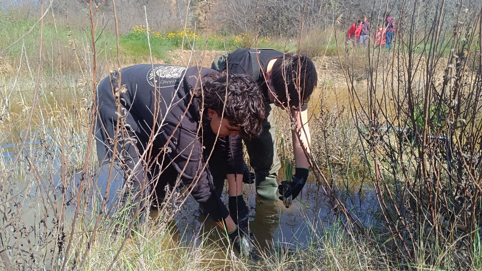 WhatsApp Image 2025-03-13 at 13.41.14