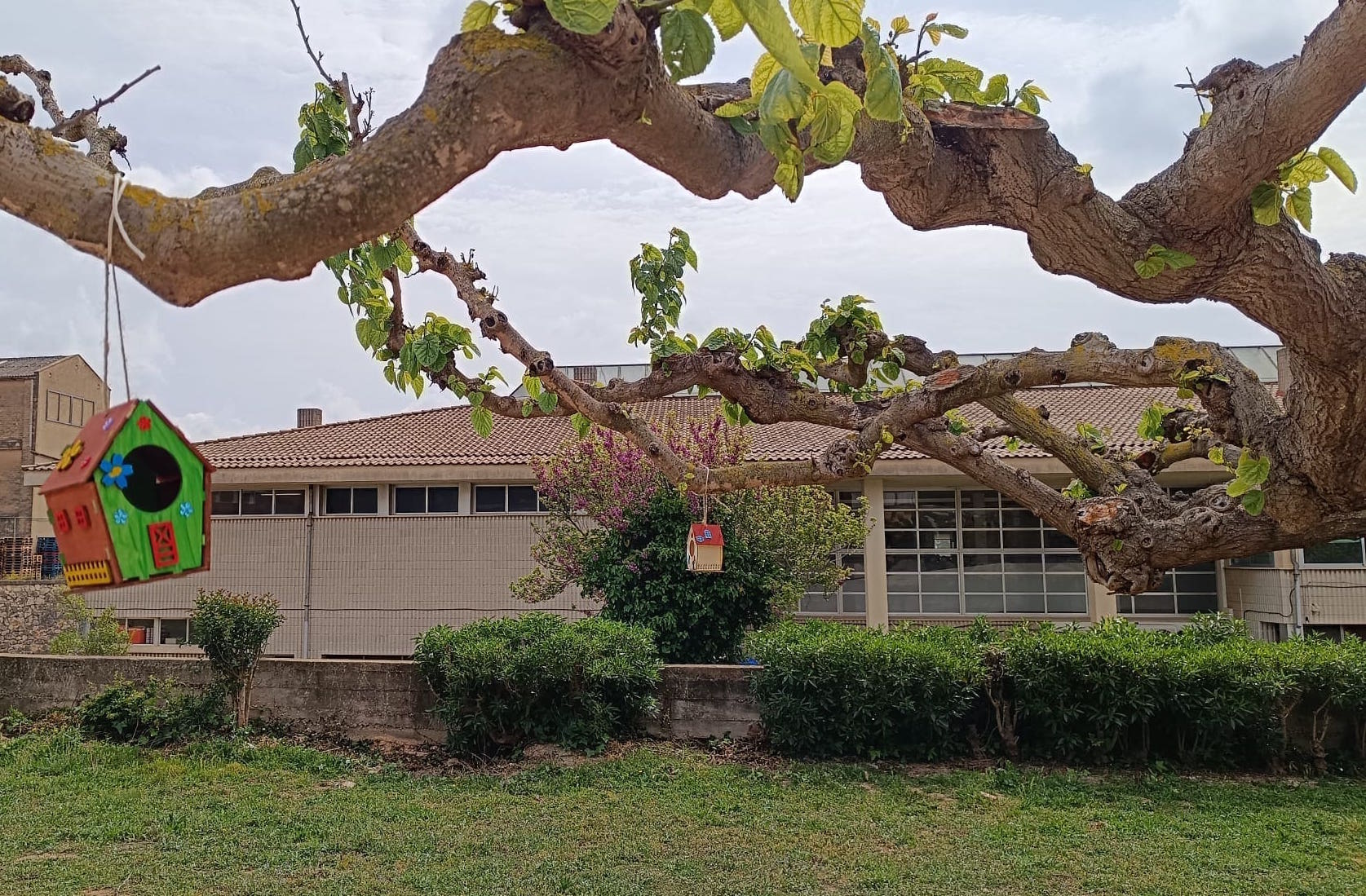 WhatsApp Image 2025-04-11 at 16.02.15 (1)