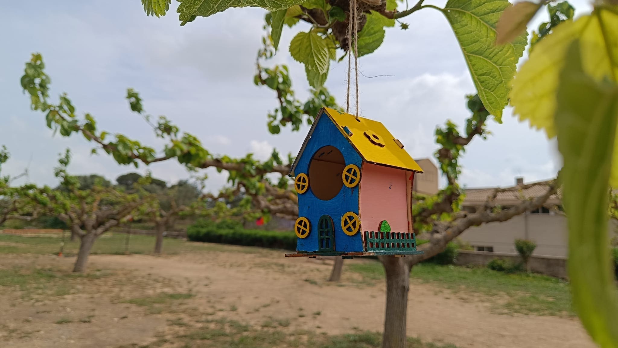 WhatsApp Image 2025-04-11 at 16.02.15