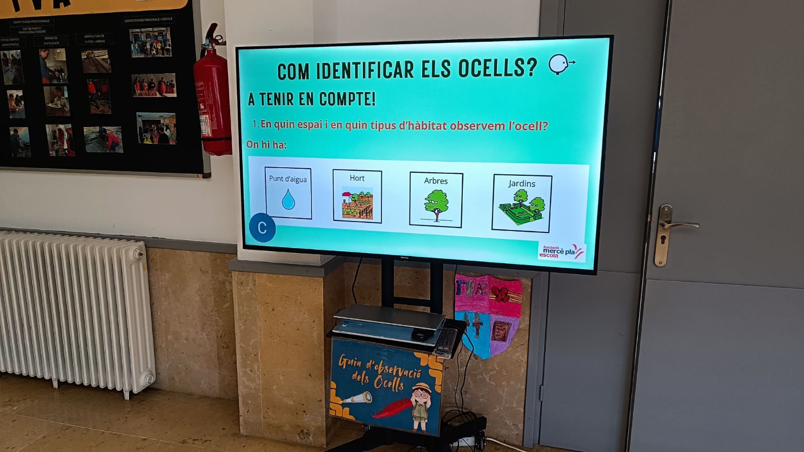 WhatsApp Image 2025-04-11 at 16.29.35 (3)