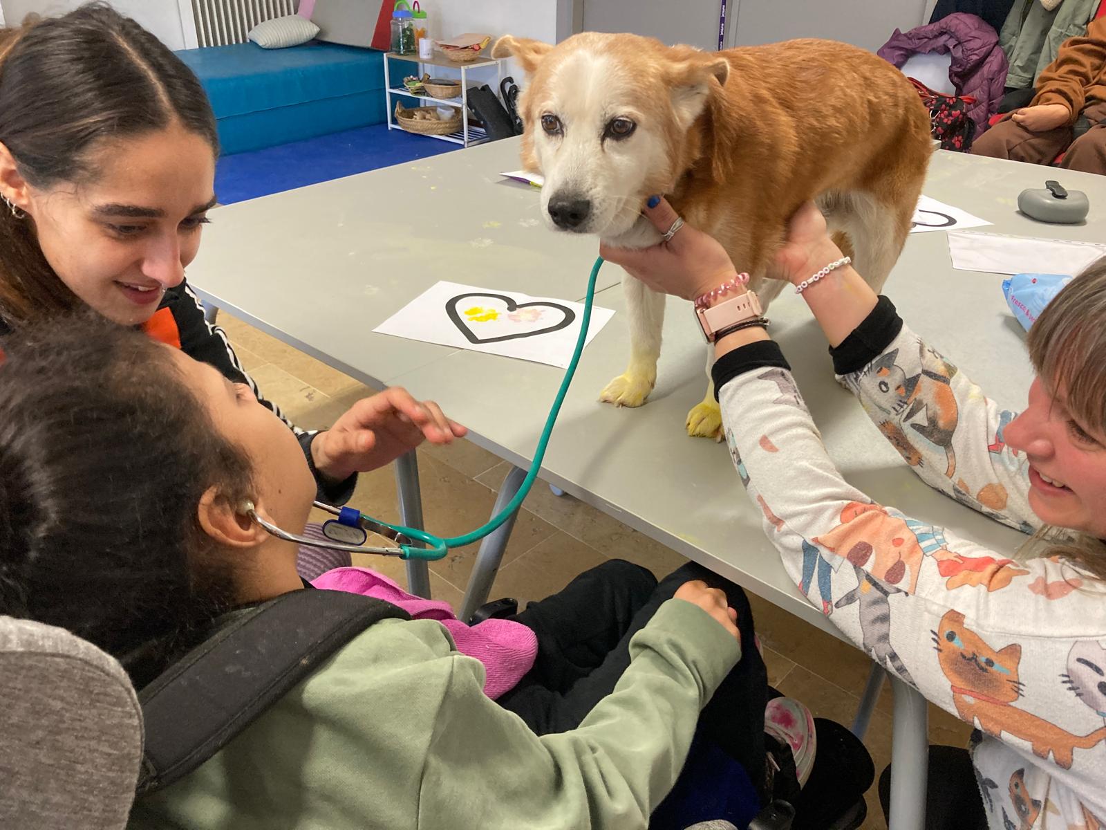 07c01ec4-8f1e-448f-8c77-29c4d45d6049