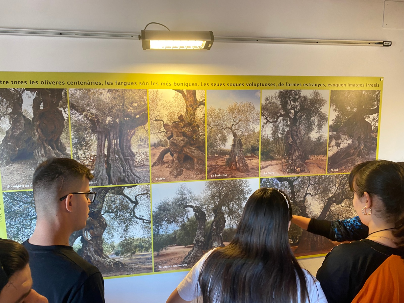 WhatsApp Image 2026-03-18 at 06.55.50 (4)