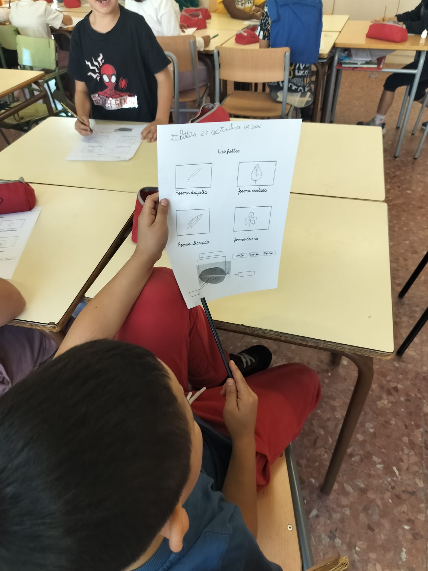 WhatsApp Image 2024-12-03 at 08.50.00