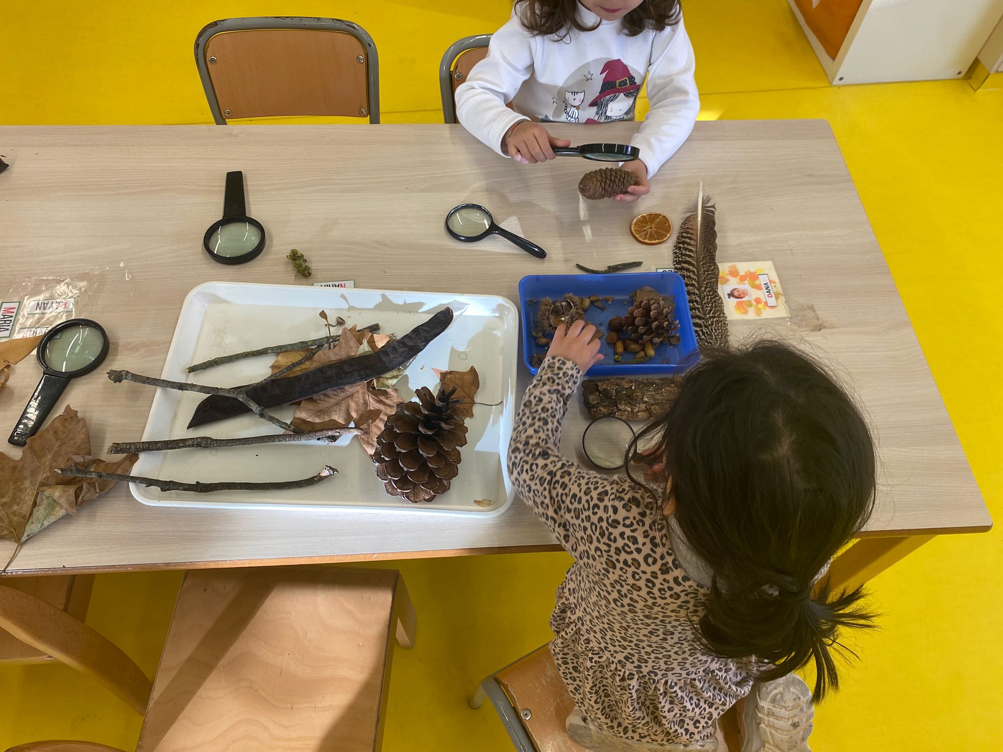 WhatsApp Image 2024-12-03 at 09.47.12 (4)