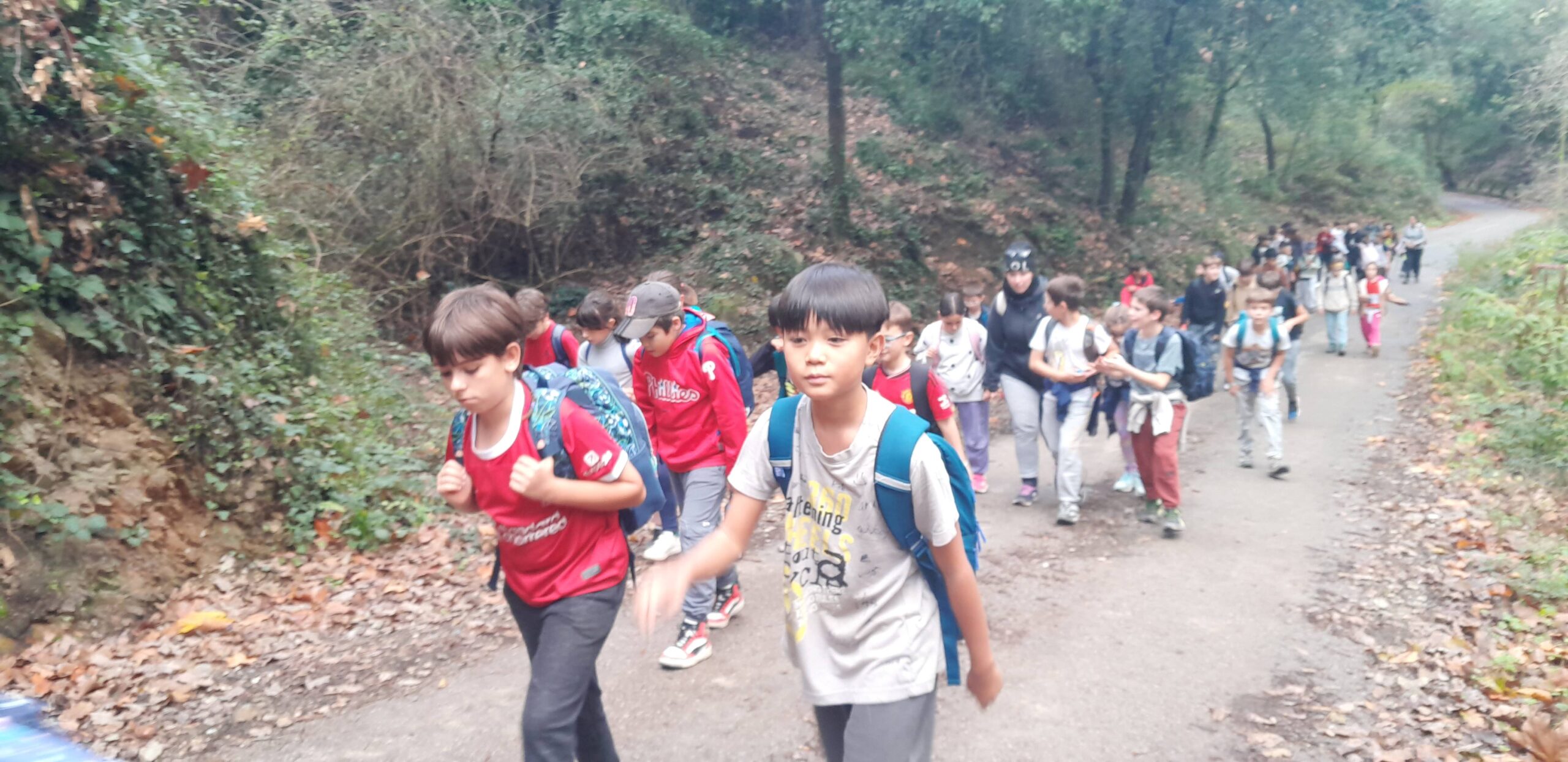 Medir Vallvidrera 3.1