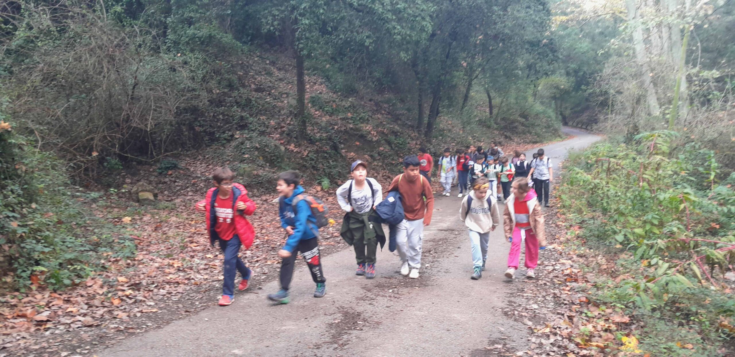 Medir Vallvidrera 3.3