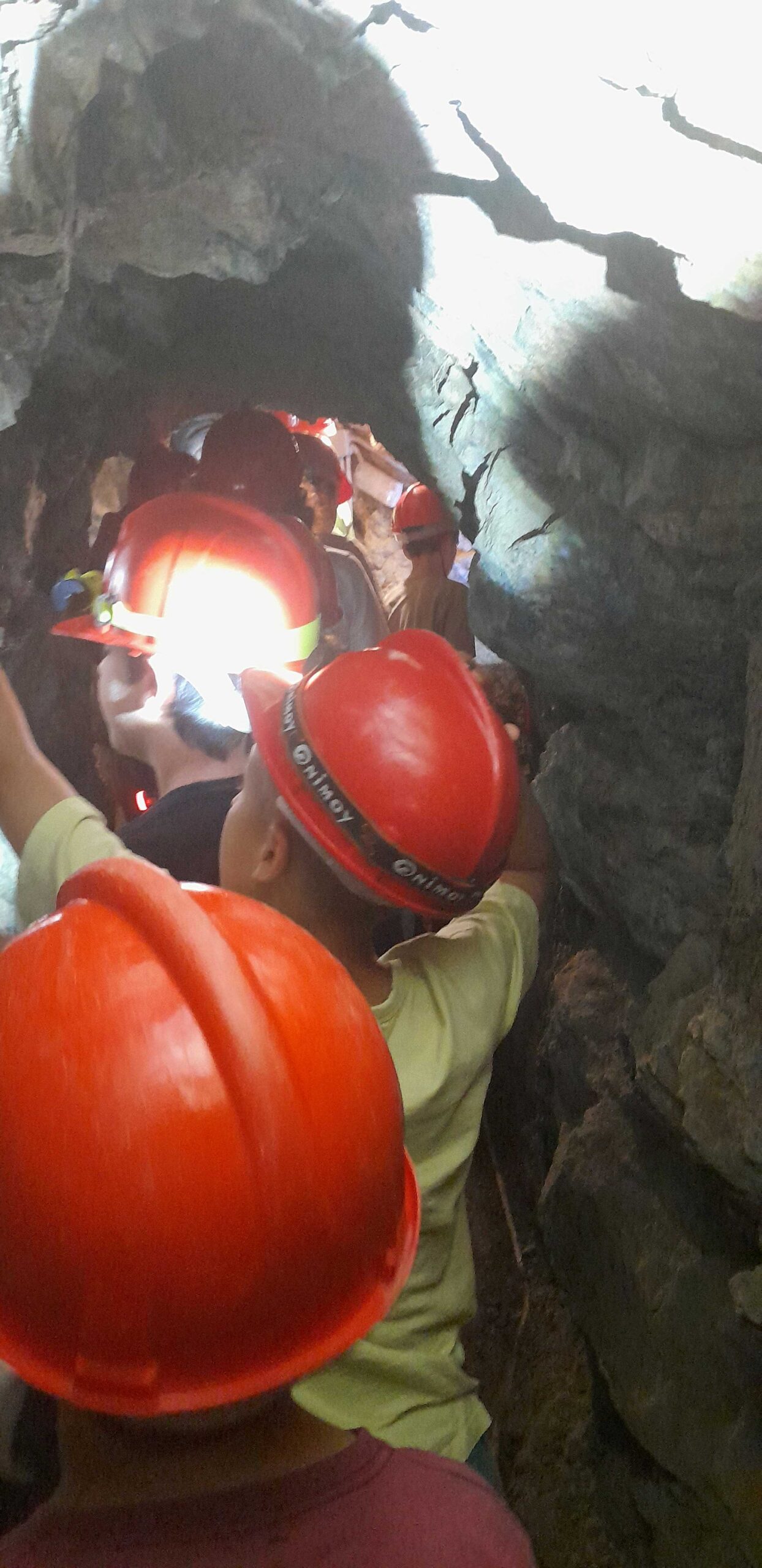 20250528_170442 reduida