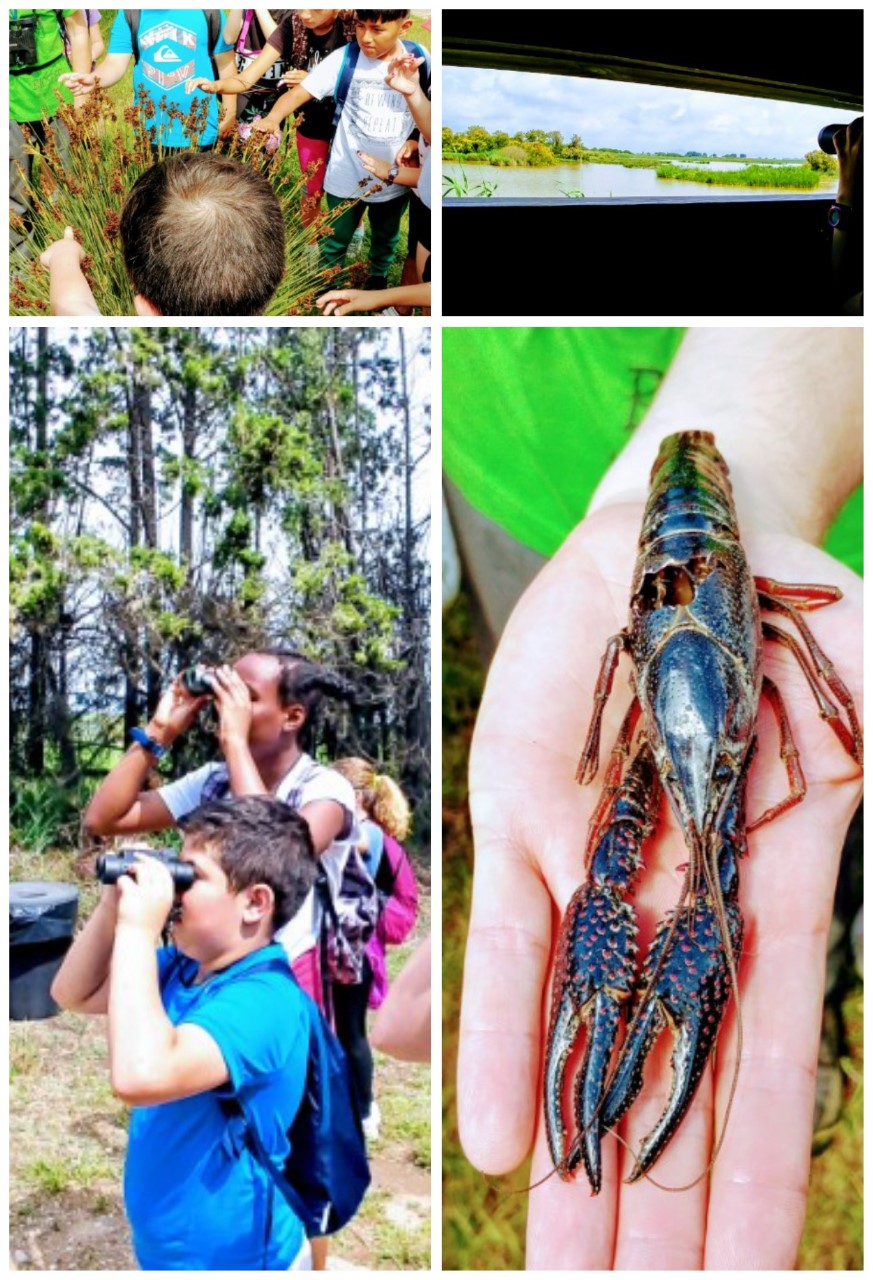 PHOTO-2019-03-27-13-16-05 (1)