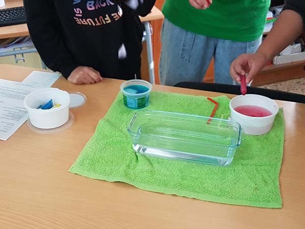 20221025_102815 (Copy)