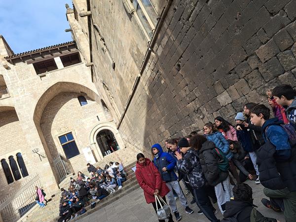 20230118_110605 (Copy)