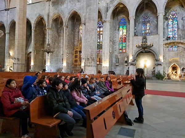 20230118_114113 (Copy)