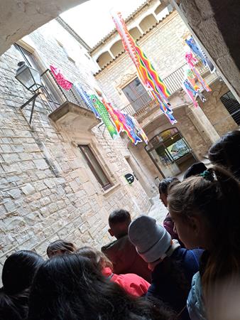 20230118_120039 (Copy)