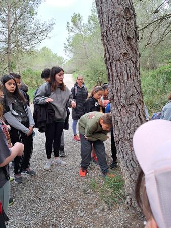 20230328_115423 (Copy)