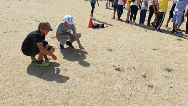 20230505_110615 (Copy)