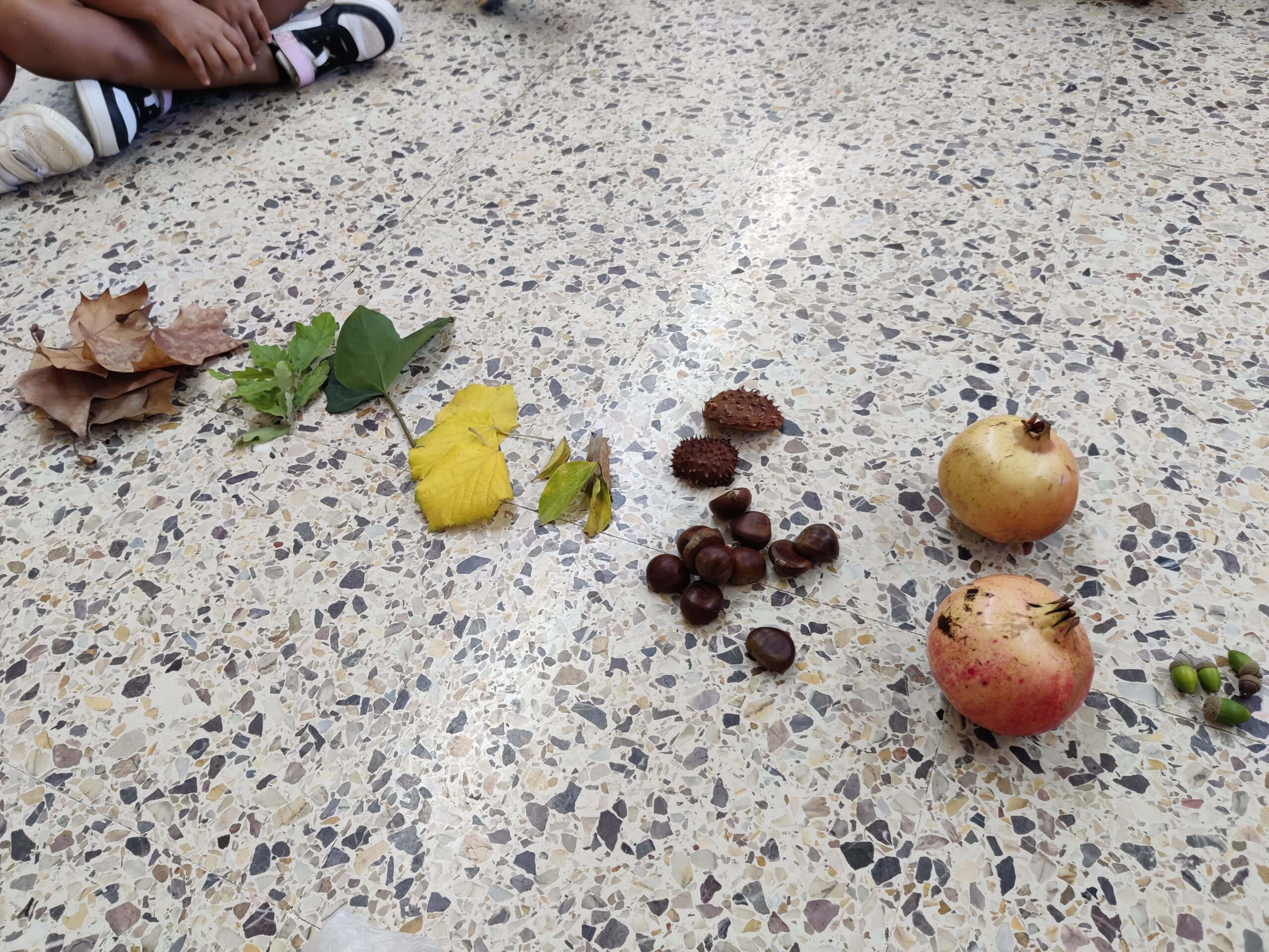 IMG_20231011_094000-min