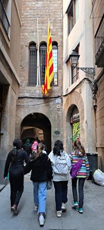 20231214_115221 (Copy)