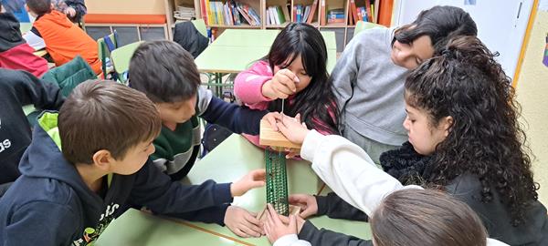 20240115_105456 (Copy)