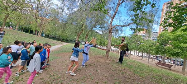 20240513_091824 (Copy)