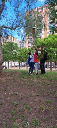 20240513_092015 (Copy)