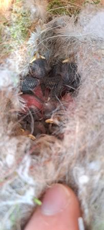 20240513_092414 (Copy)