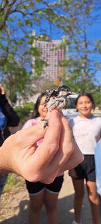 20240513_100526 (Copy)