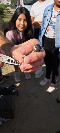 20240513_100729 (Copy)