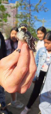 20240513_100836 (Copy)