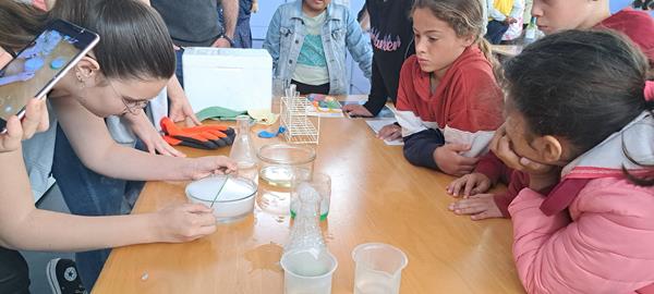 20240515_095655 (Copy)