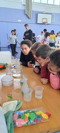 20240515_095748 (Copy)