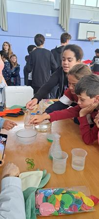 20240515_095759 (Copy)