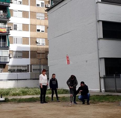 IMG-20241121-WA0021 (Copy)