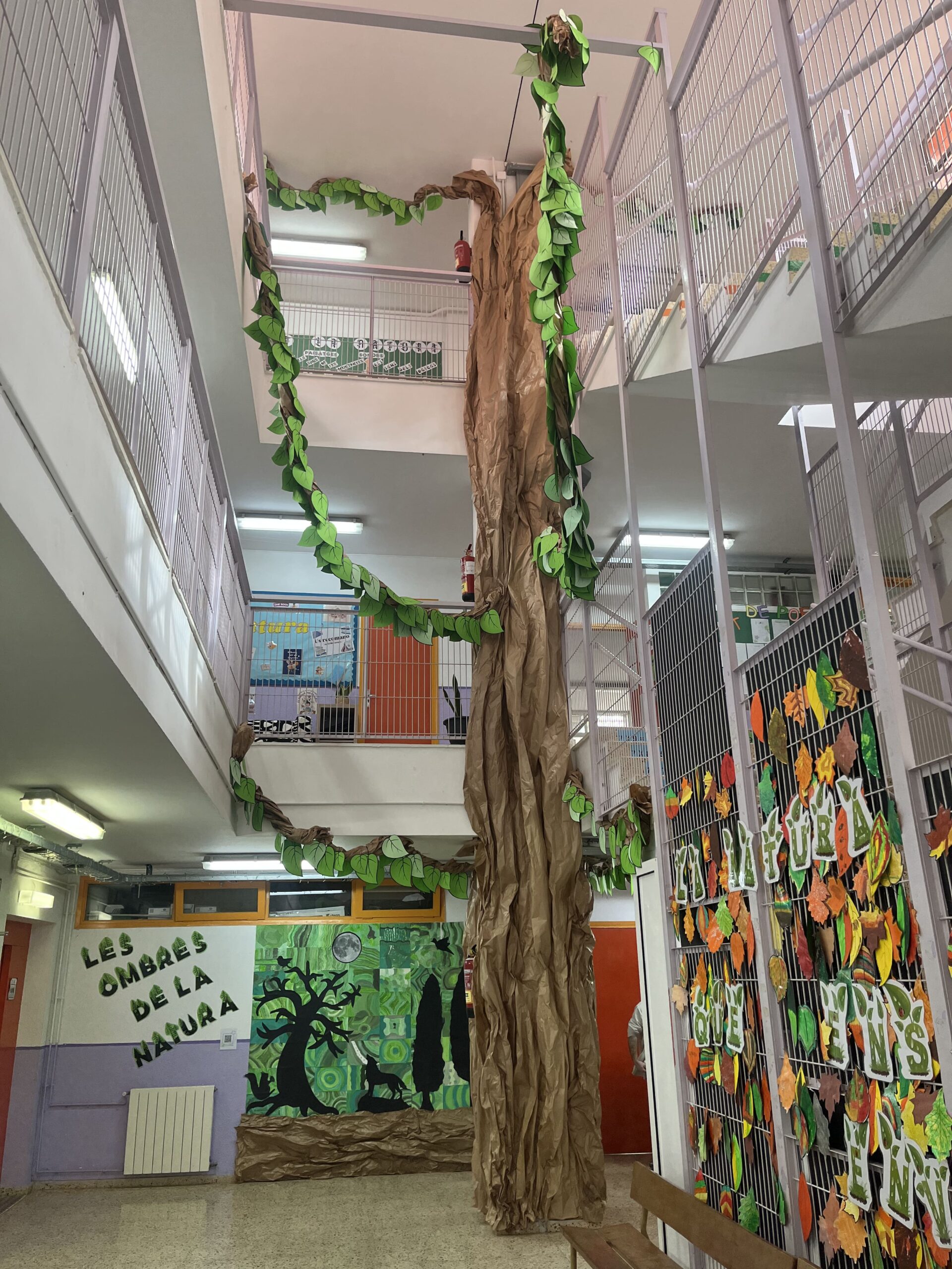 2025-02-19_12-58-26_153