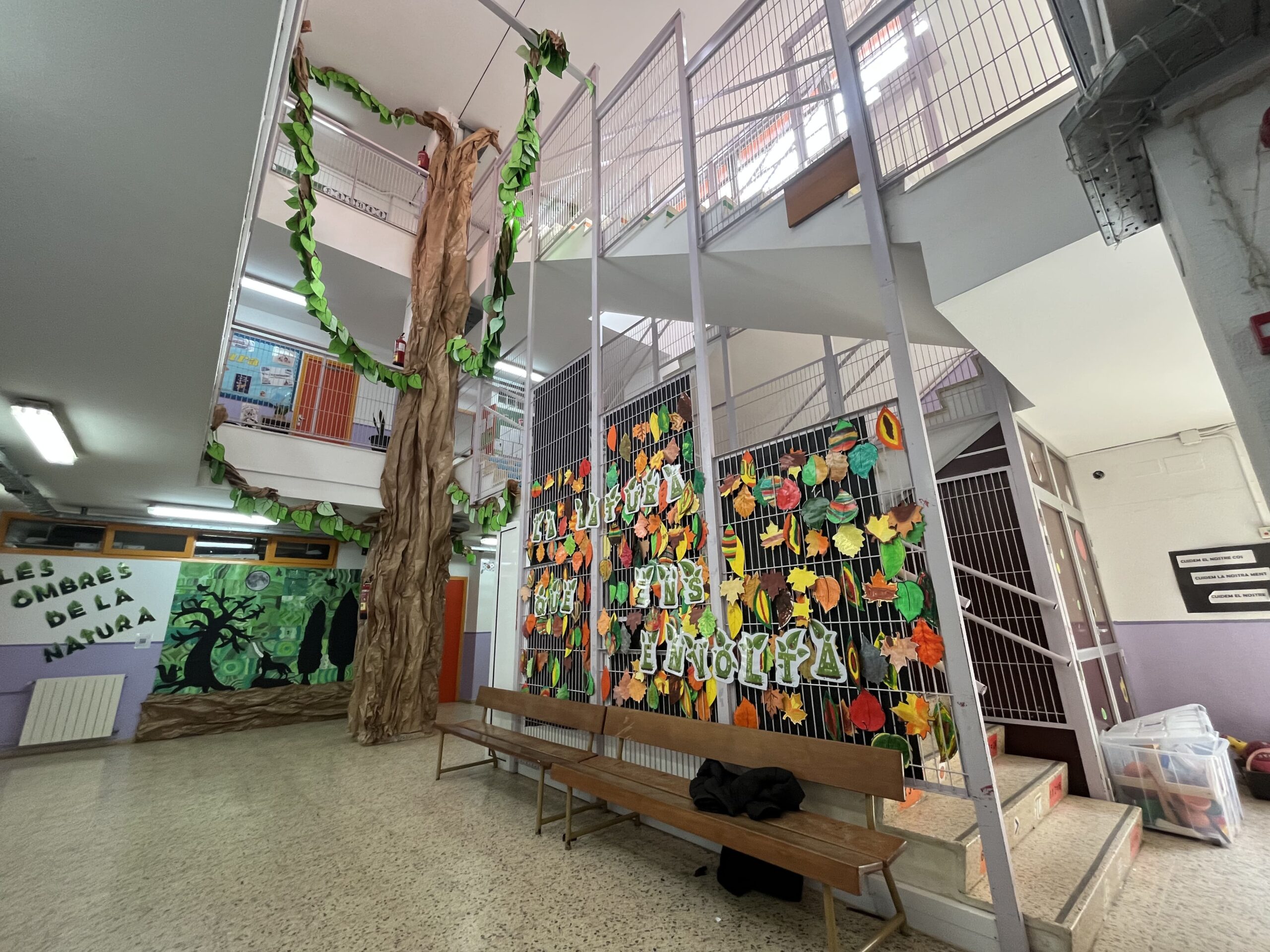 2025-02-19_13-00-39_108