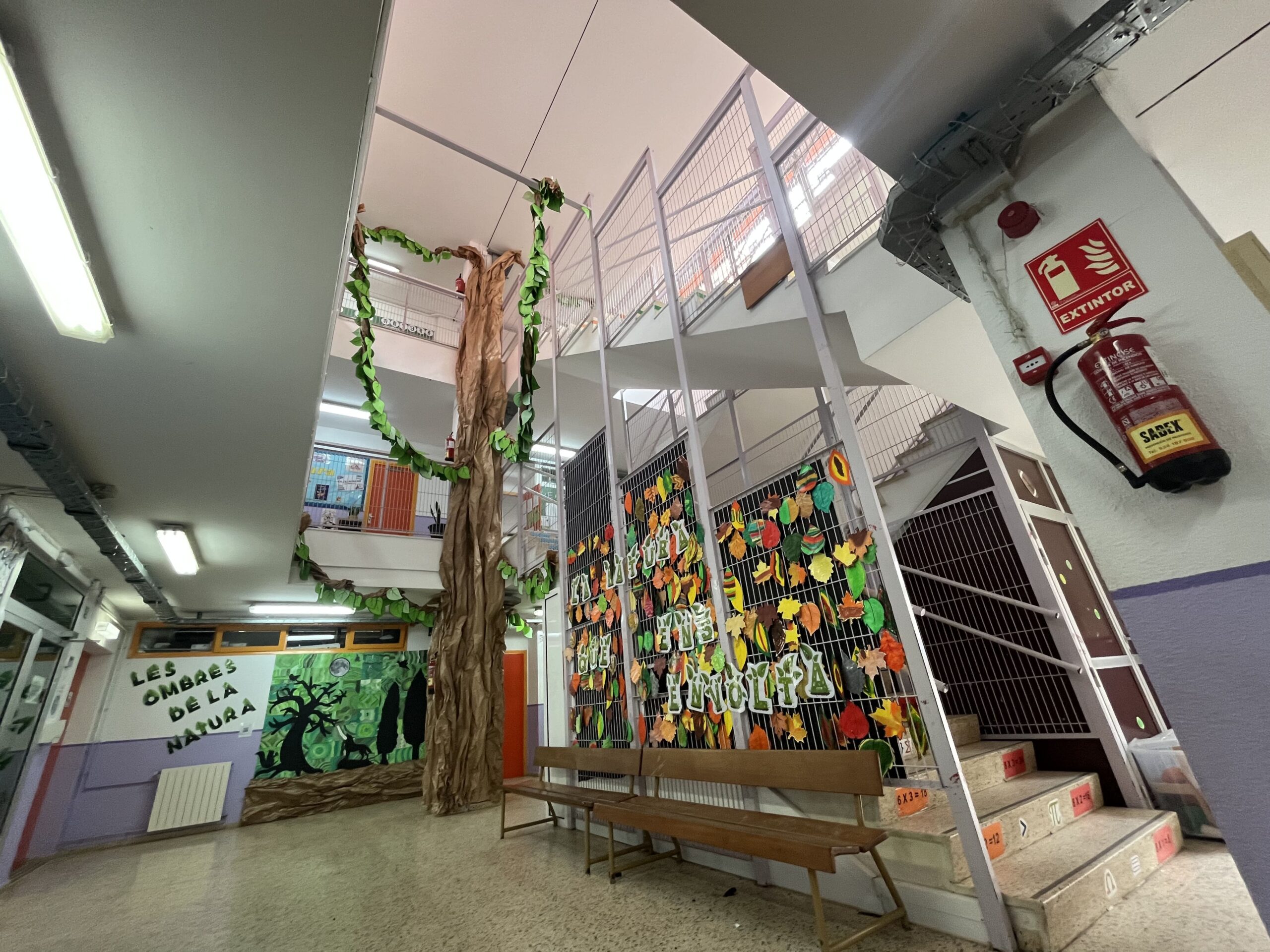 2025-02-19_13-01-53_975