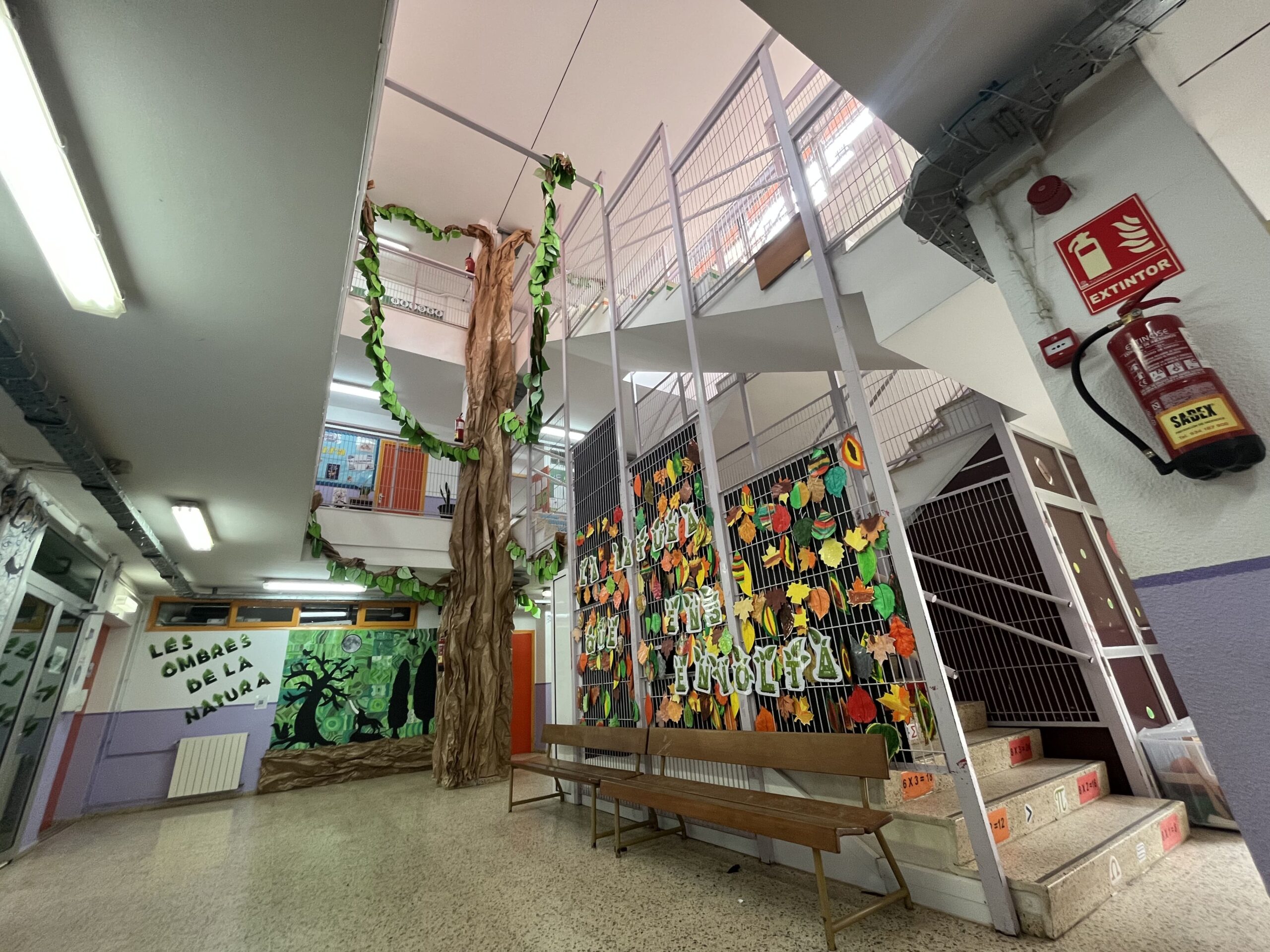 2025-02-19_13-01-55_437