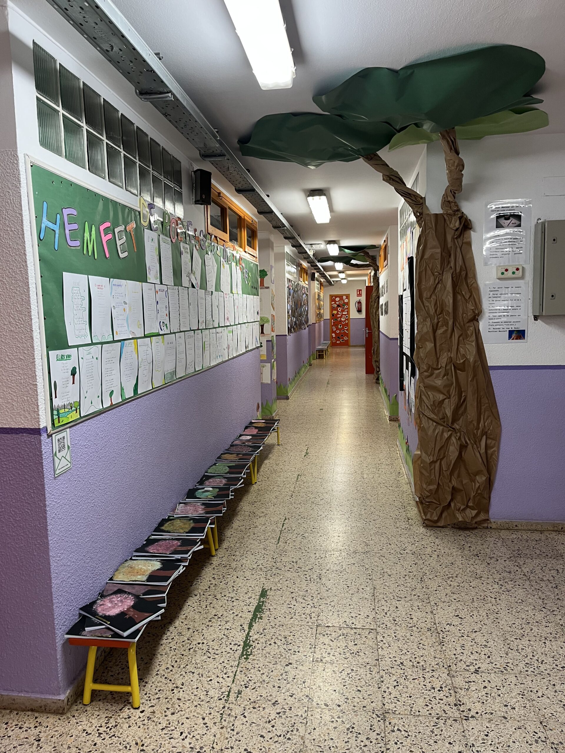 2025-02-20_08-52-20_107