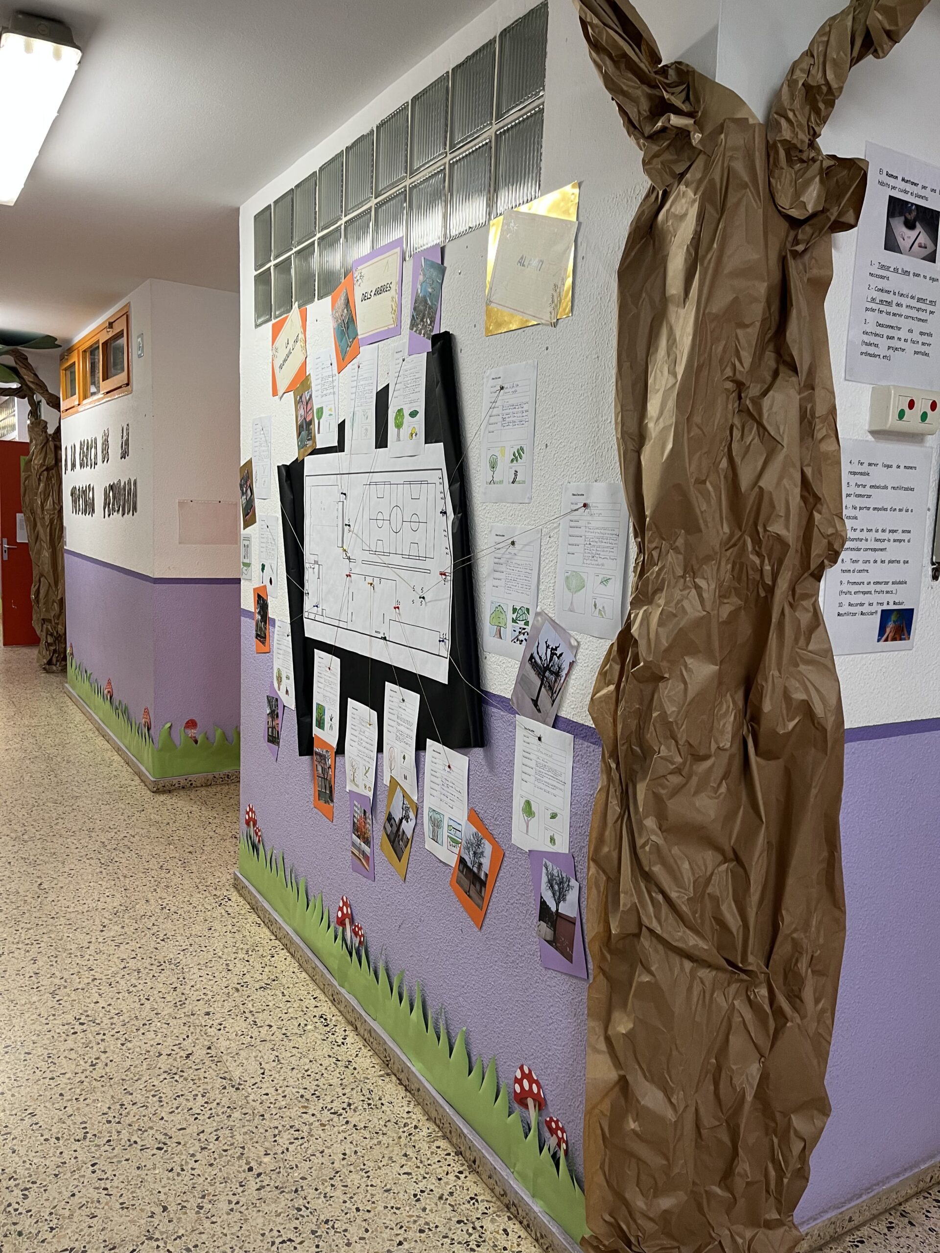 2025-02-20_08-52-35_928