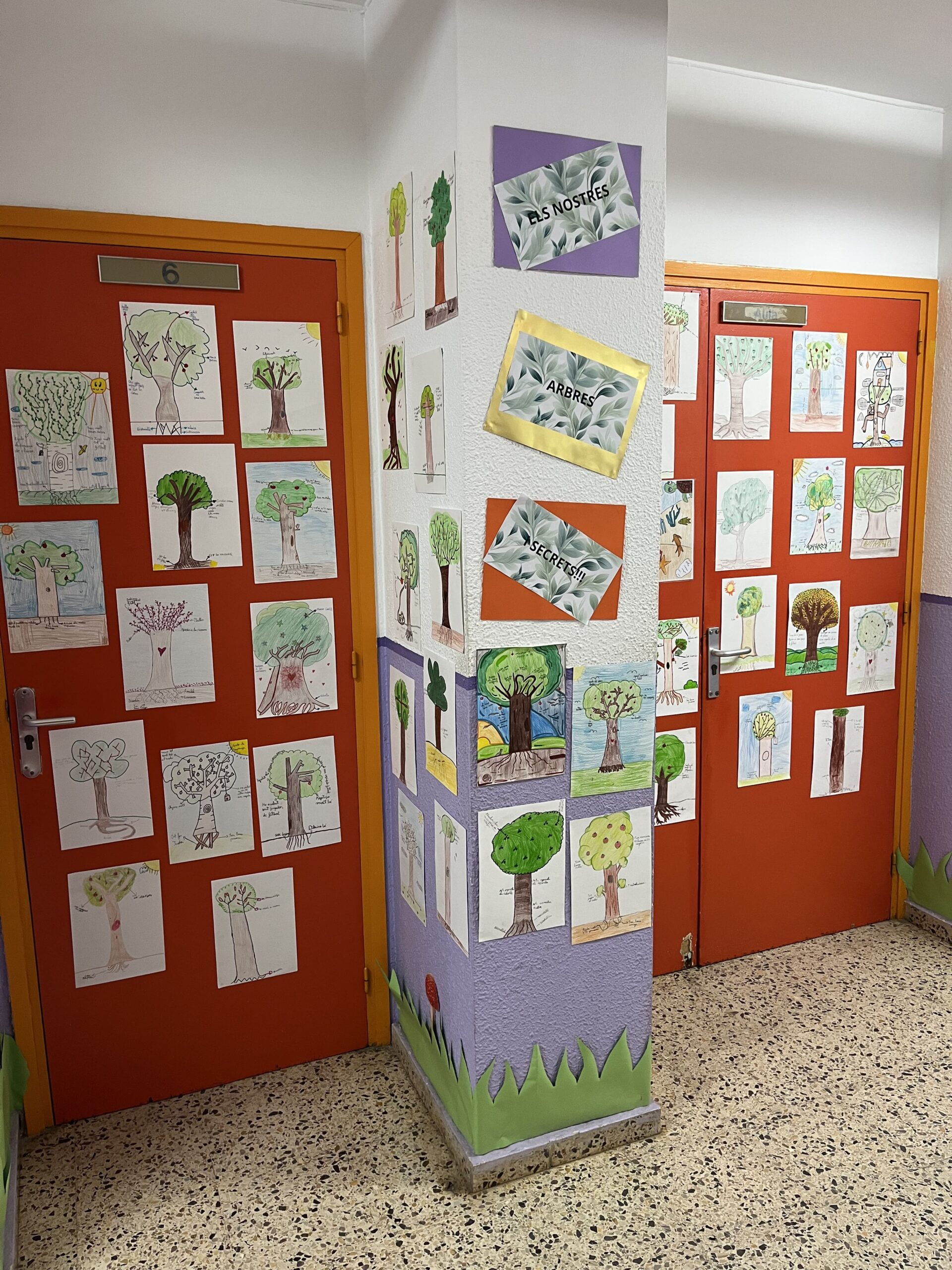 2025-02-20_08-52-44_892