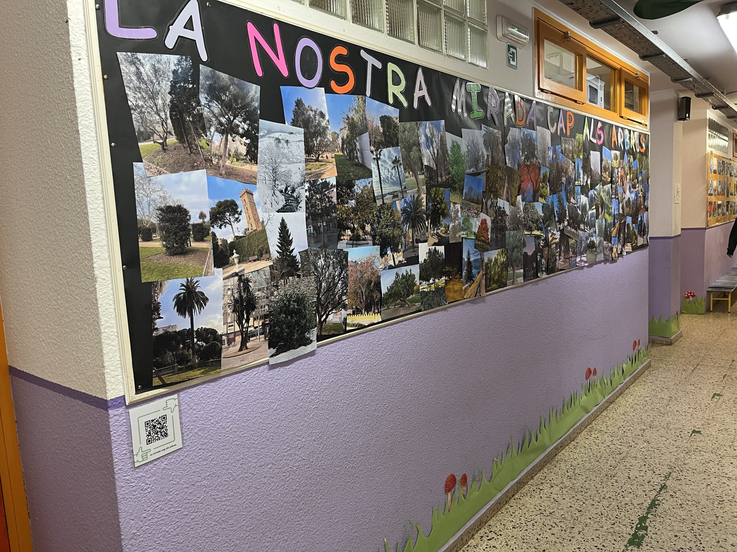 2025-02-20_08-52-58_087