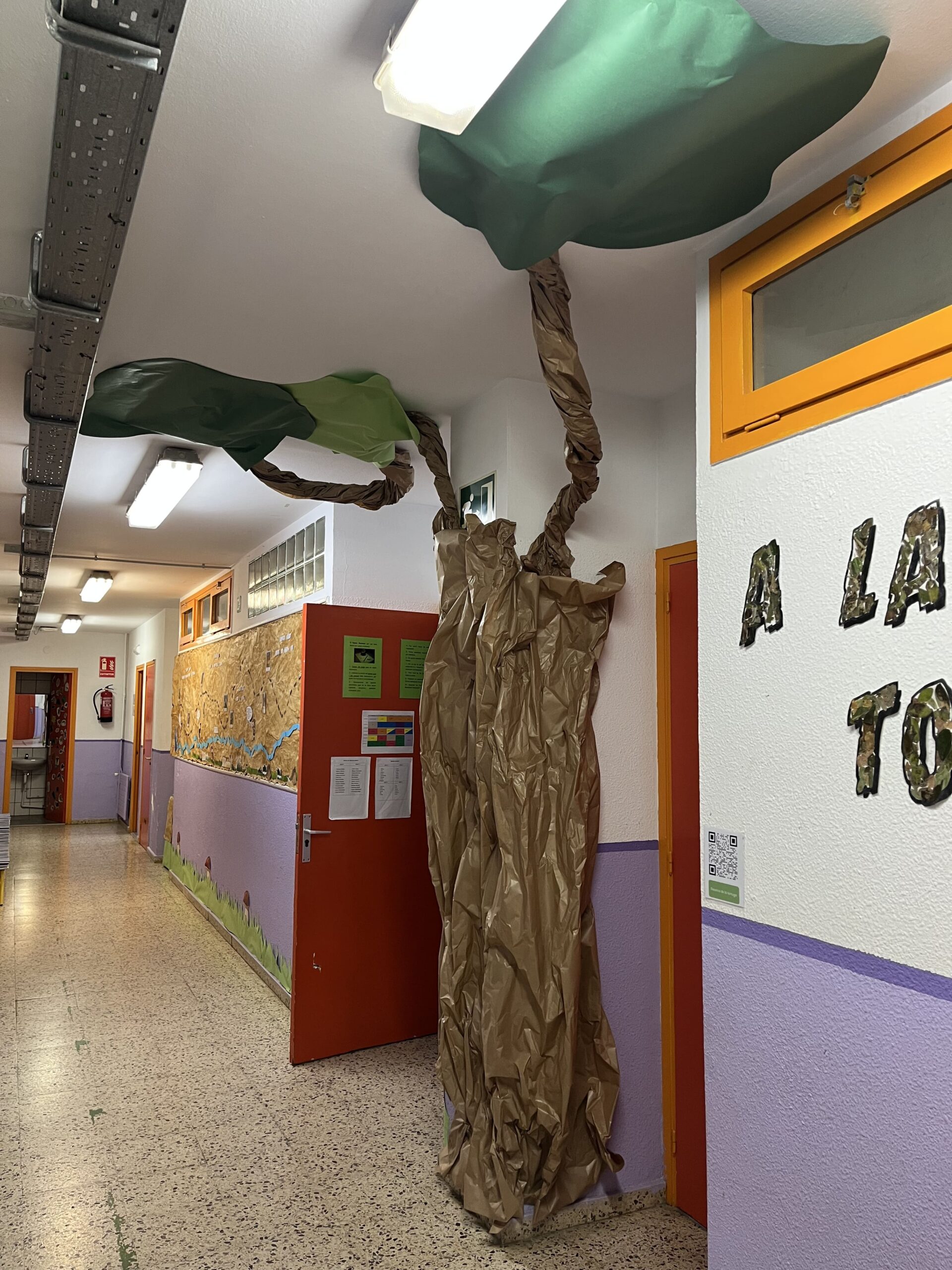 2025-02-20_08-53-07_739